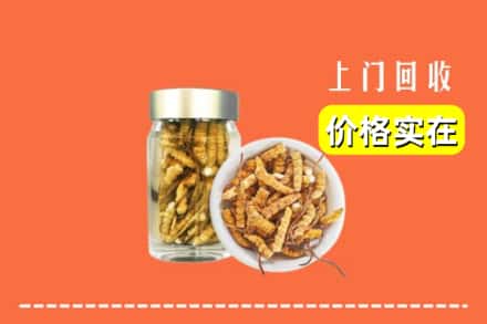 收购资讯:齐齐哈尔克东县回收散虫草