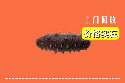 收购资讯:齐齐哈尔克东县回收海参