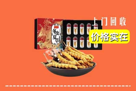 齐齐哈尔克东县回收虫草